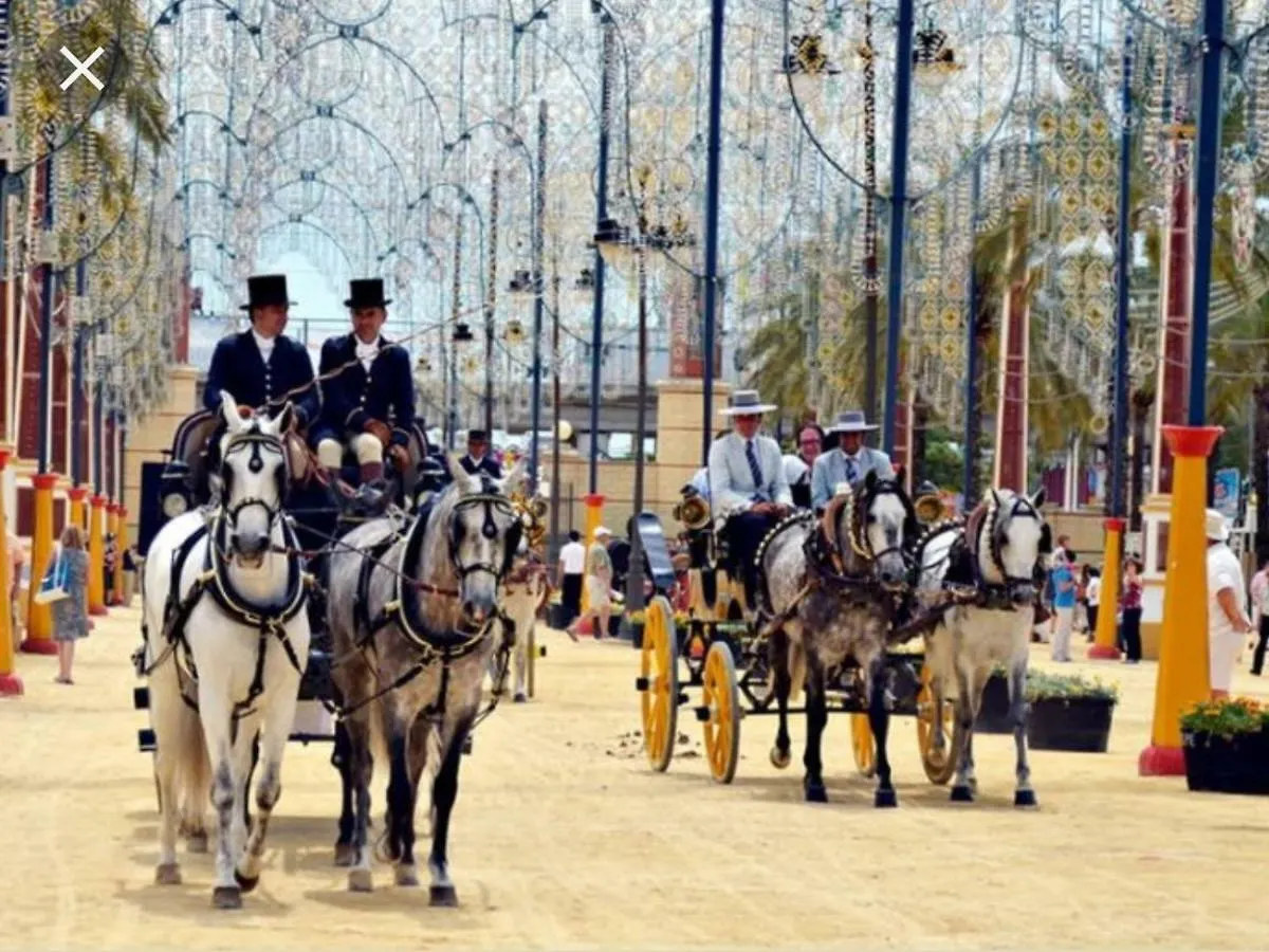 Apartamento Jerez 2018 Jerez de la Frontera